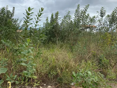 Lote escriturado à Venda, Primavera, Vitória da Conquista, BA - Foto 6