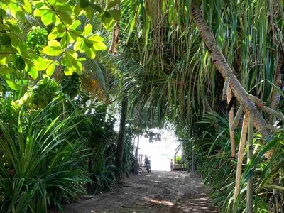 Casa, terreno à Venda Em Barra Grande, Vila, Maraú, BA - Foto 22