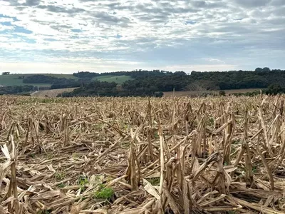 Terreno Residencial ou Comercial para venda, ao Lado do Pato Branco Shopping - Foto 8
