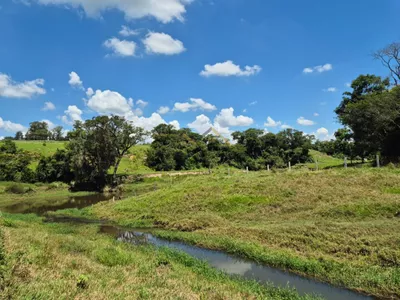 Sítio de 6,6 hectares com água, solo fértil e alto potencial produtivo à venda no Manduca Coelho - Foto 33