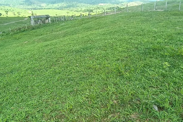 Fazenda à Venda, Zona , Caatiba, BA - Foto 1