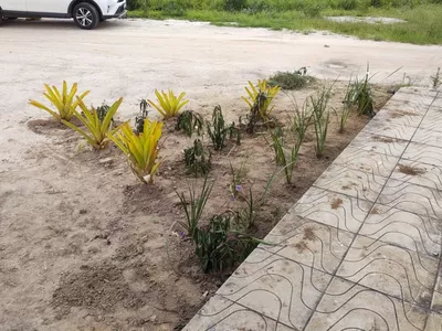 VENDO OU TROCO Sítio de 20 mil m² dentro de cond. fechado já com cerca, no Terra Estância das Ro - Foto 10