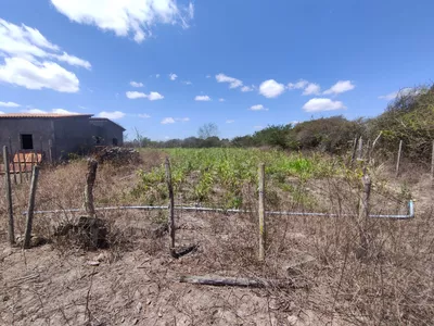 Sítio a venda na Lagoa das Flores com 2 casas, árvores frutíferas, poço artesiano, irrigação, - Foto 30