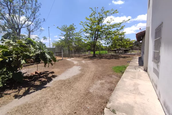Sítio a venda na Lagoa das Flores com 2 casas, árvores frutíferas, poço artesiano, irrigação, - Foto 5