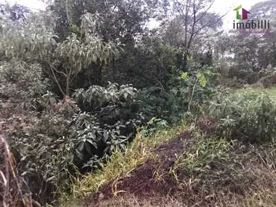 Terreno com fundos para Reserva - Foto 5