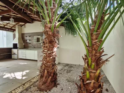 Casa em Condomínio à venda, Alto do Boa Vista Bairro Boa Vista Vitória da Conquista, BA - Foto 21