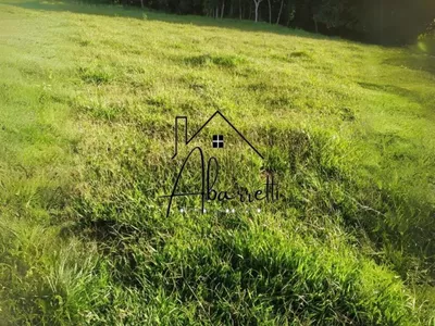 Sítio à venda com 25.509 m² em Manduca Coelho - Foto 16