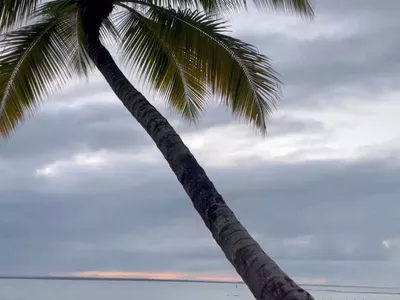 Terreno à venda, em Taipu de Fora, Península de Maraú, Barra Grande, um dos destinos mais cobiça - Foto 16