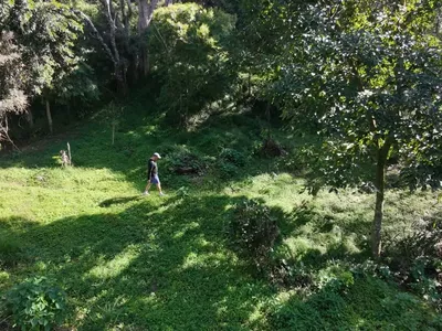 Terreno para venda,  CônegoVillaGhandi, Nova Friburgo - Foto 7